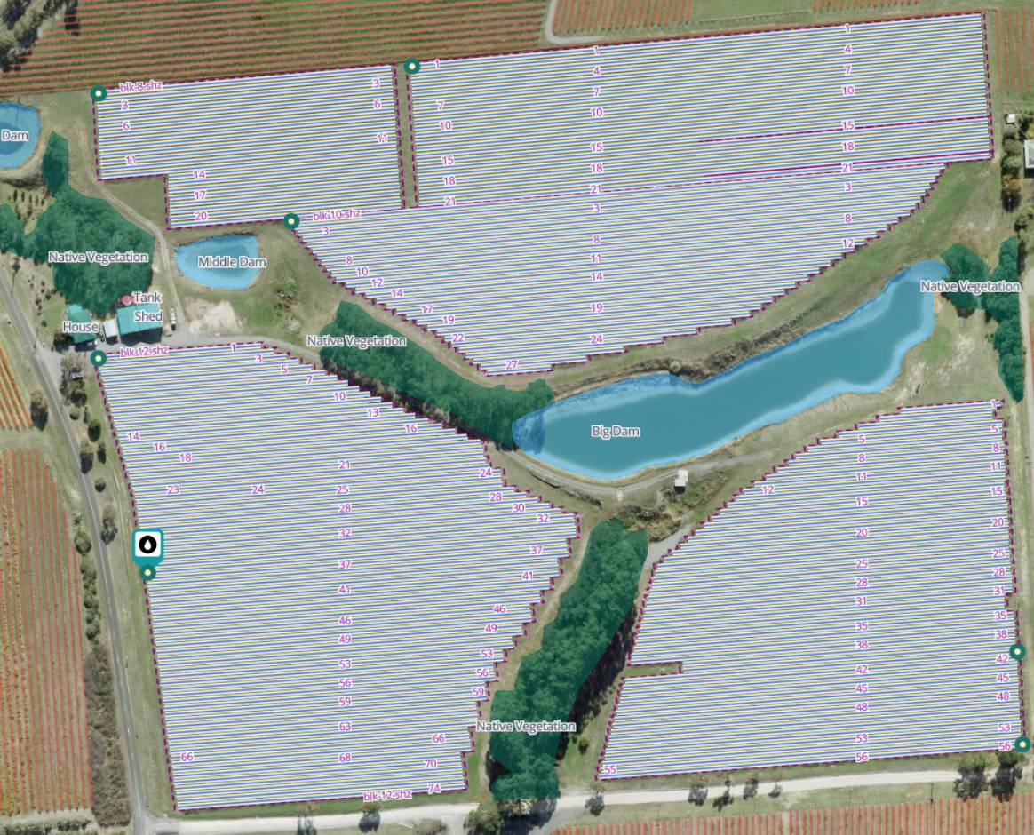 The same vineyard with numbered rows and mapped water features