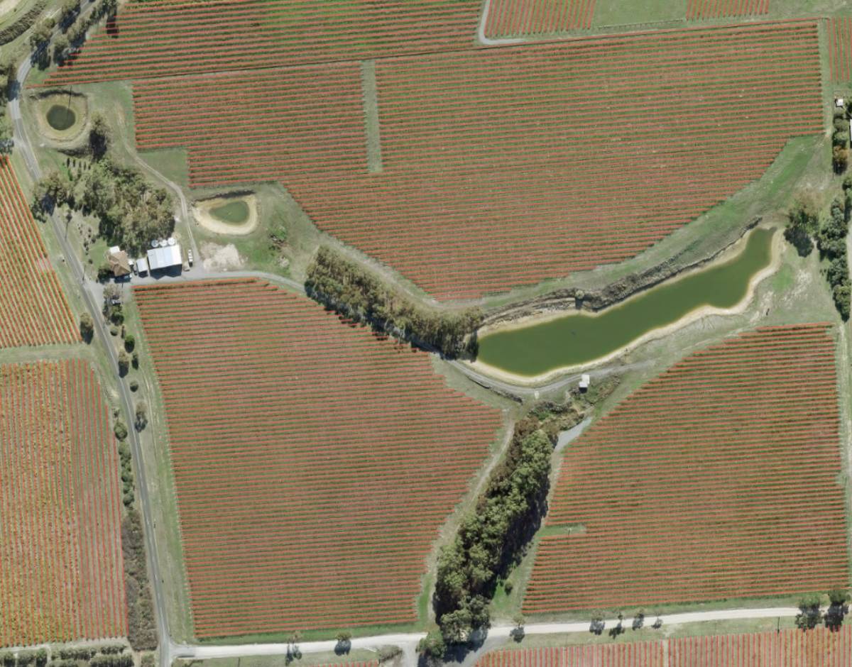 Aerial vineyard view